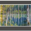 Acrylglasbild DAVID KÖSTER