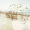 Acrylglasbild SANSIBAR Living
