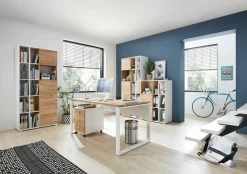 Aktenschrank LIONI