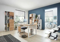 Aktenschrank LIONI