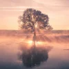 Akustikbild BAUM