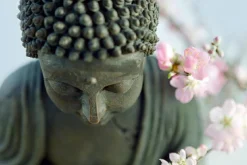 Akustikbild BUDDHA