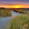 Akustikbild DÜNENLANDSCHAFT
