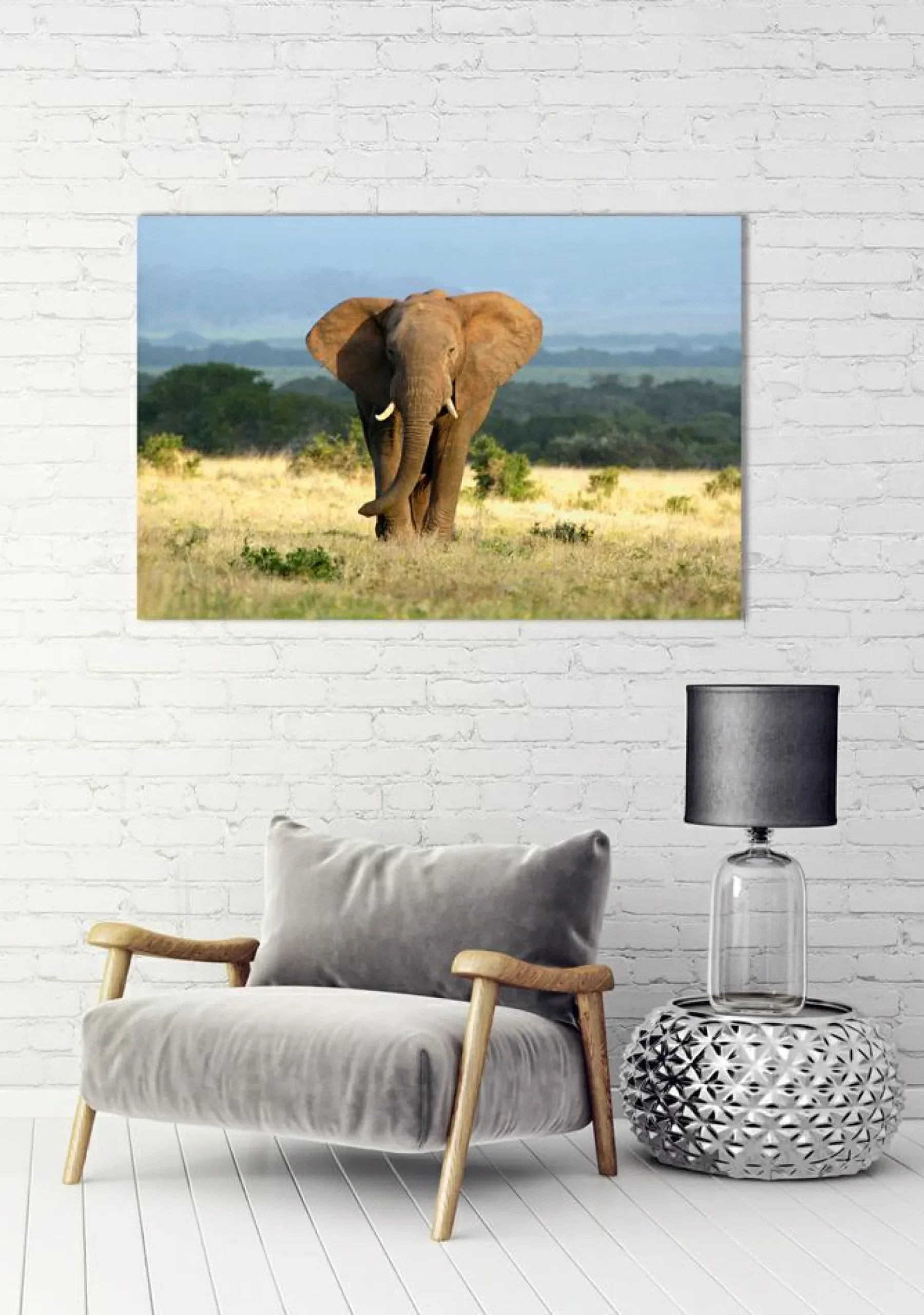 Akustikbild ELEFANT