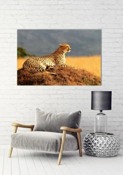 Akustikbild GEPARD