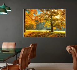 Akustikbild HERBSTWALD