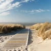 Akustikbild HOLZWEG ZUM MEER 1