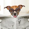 Akustikbild HUND MIT ZEITUNG