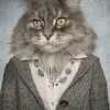 Akustikbild KATZENFRAU