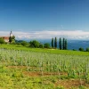 Akustikbild LANDSCHAFT