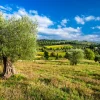 Akustikbild LANDSCHAFT