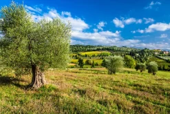 Akustikbild LANDSCHAFT