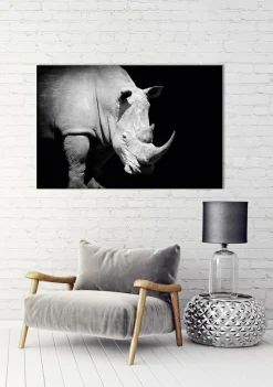 Akustikbild NASHORN