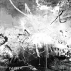 Aludibondbild ABSTRACT BLACK &