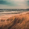 Aludibondbild COASTLINE