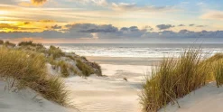 Aludibondbild DUNE AT SUNSET