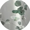 Aludibondbild EUCALYPTUS