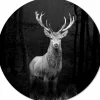 Aludibondbild GREY DEER HEAD I