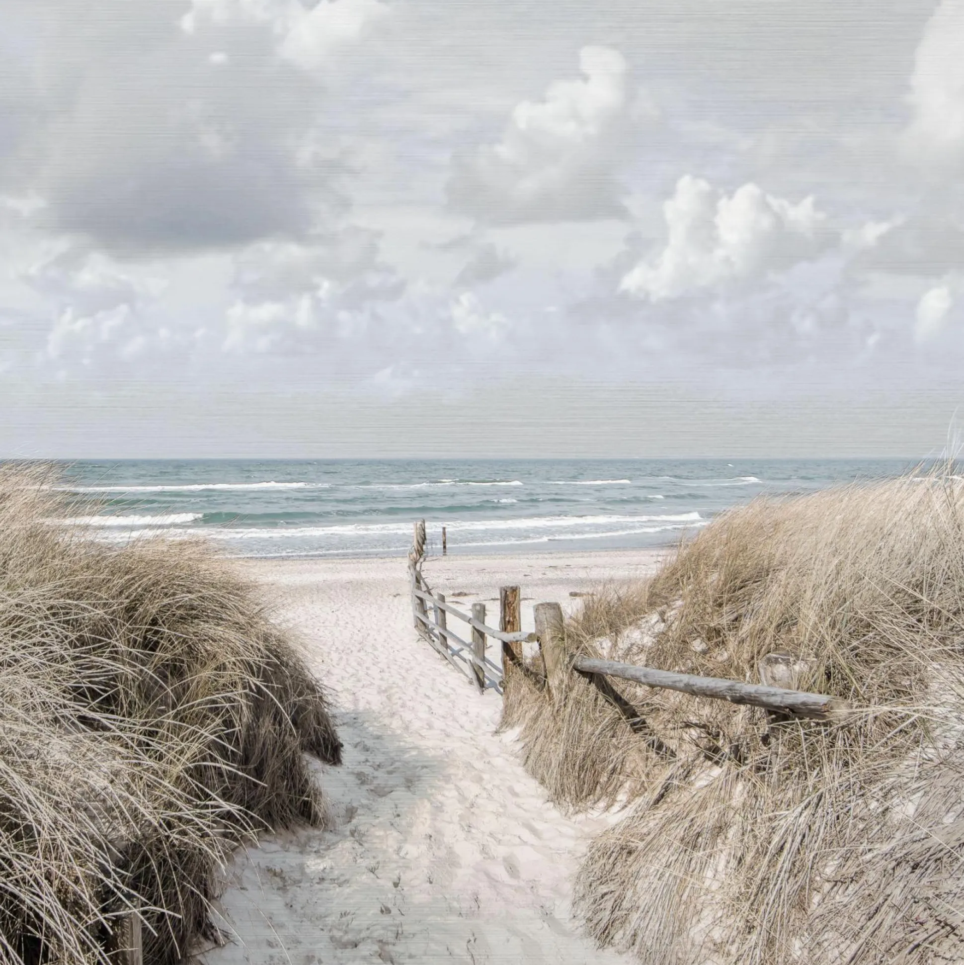 Aludibondbild WAY TO SEA II