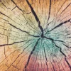 Fußmatte WOOD Land