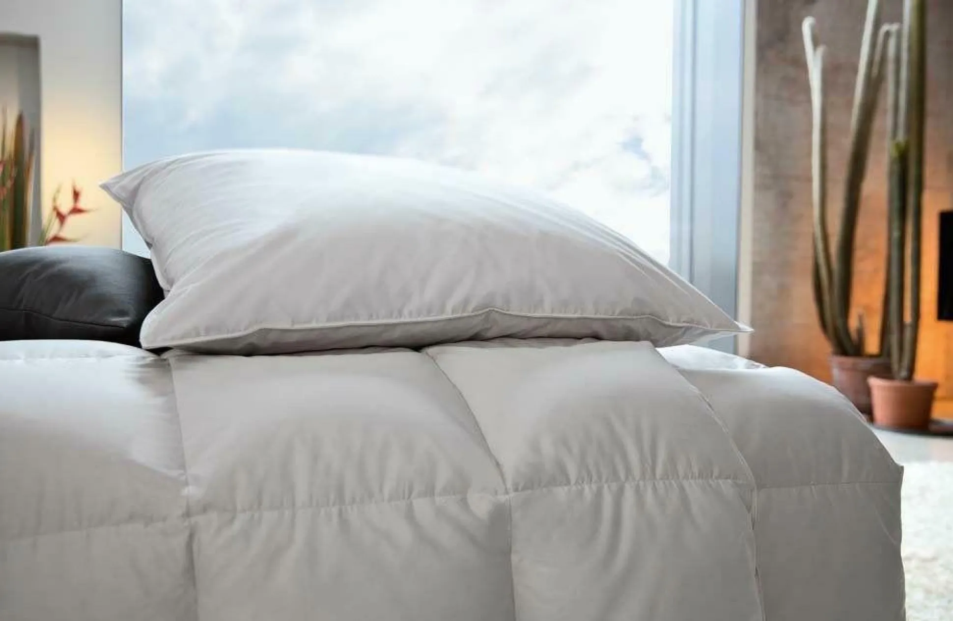 Ganzjahresbett CENTA-STAR GOLF VON ALASKA