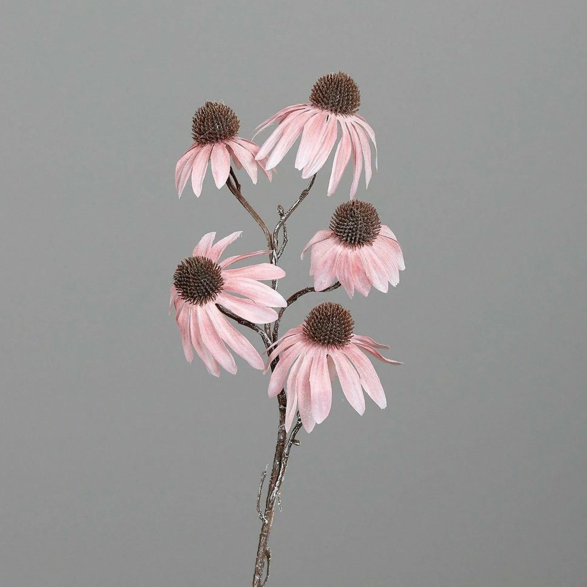 Kunstblume Sonnenhut