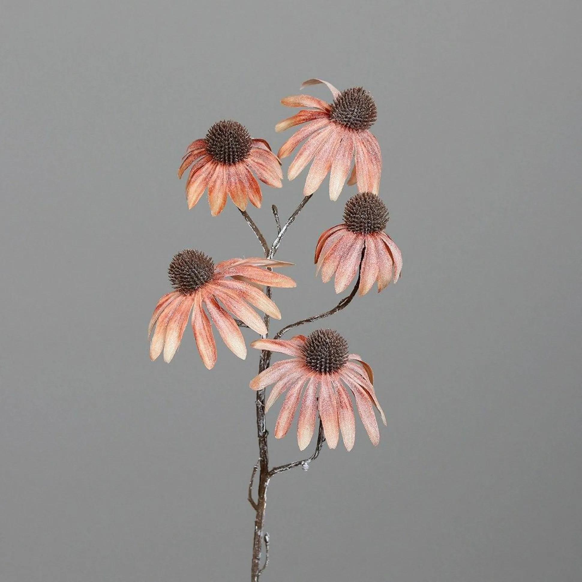 Kunstblume Sonnenhut