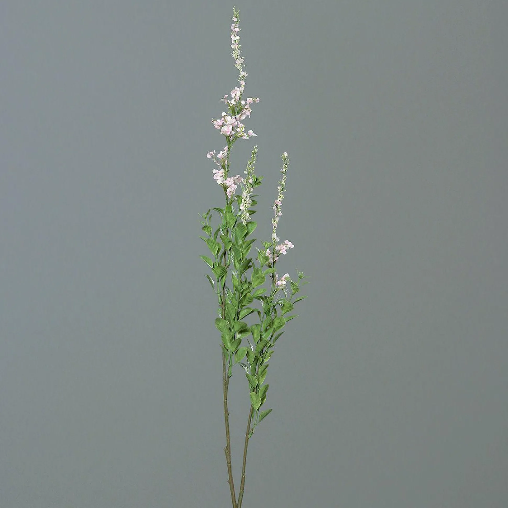 Kunstblume SPIREA