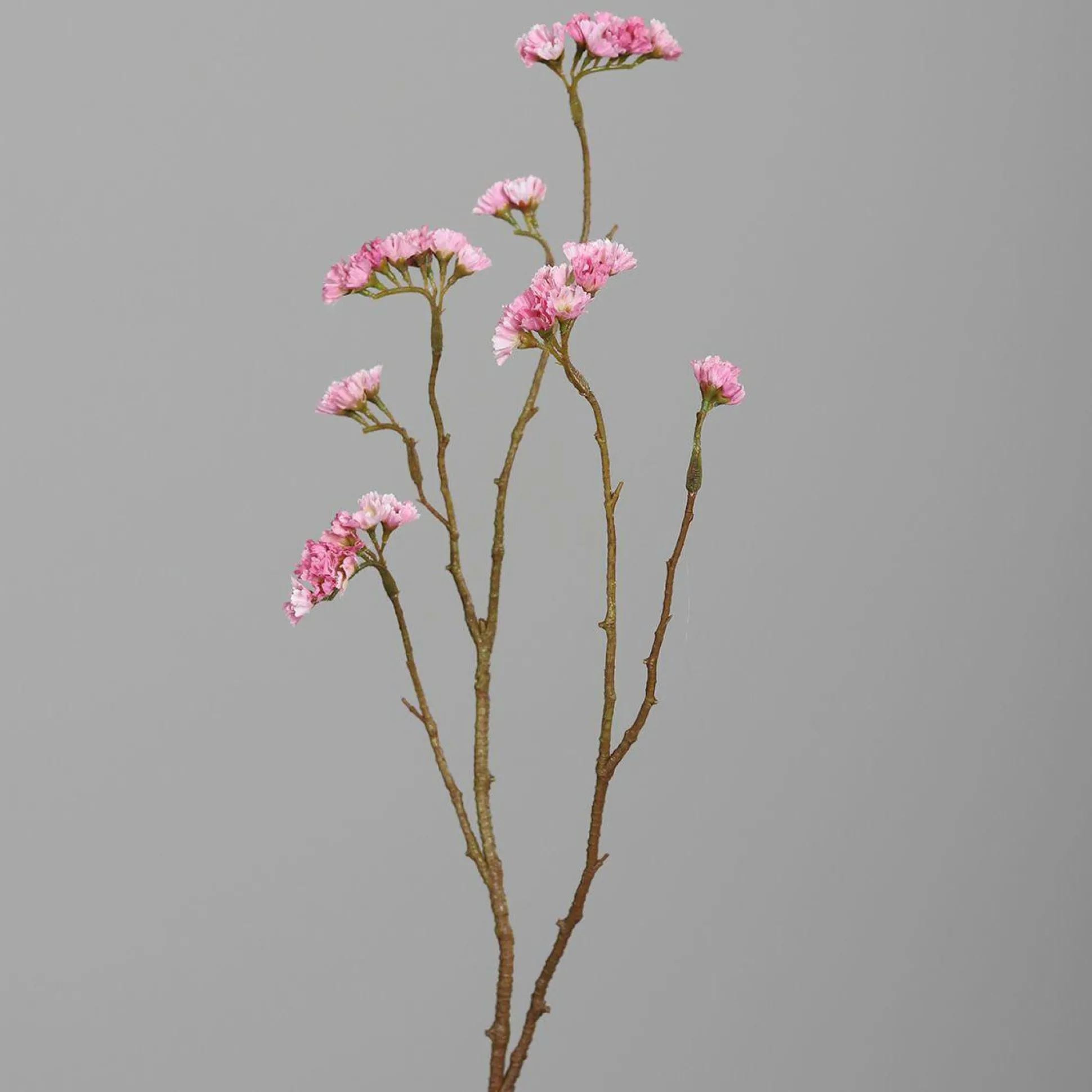 Kunstblume Statice