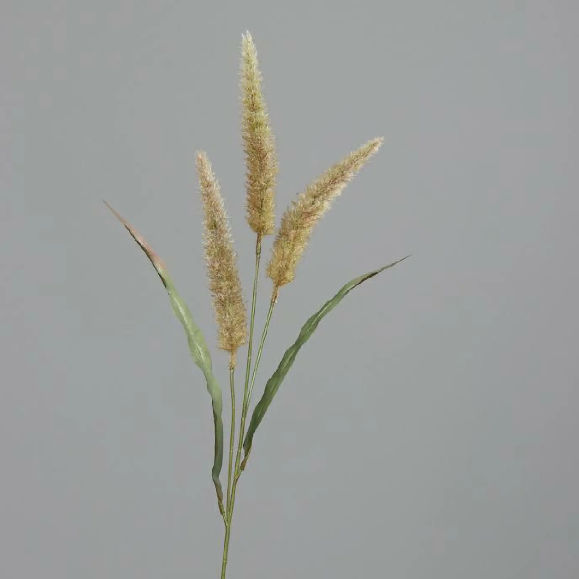 Kunstpflanze Gras