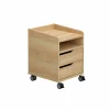 Rollcontainer PAIDI 2S