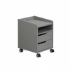 Rollcontainer PAIDI 2S