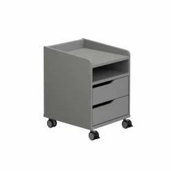Rollcontainer PAIDI 2S