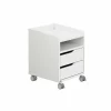 Rollcontainer PAIDI 2S