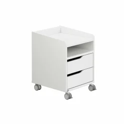 Rollcontainer PAIDI 2S