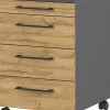 Rollcontainer PROFI 2.0