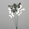 Schmetterling