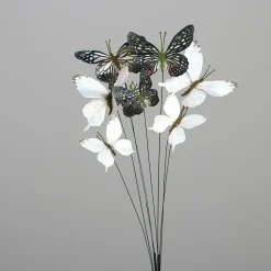 Schmetterling