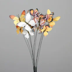 Schmetterling