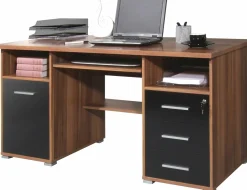 Schreibtisch 0484