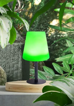 Solarleuchte SOLAR