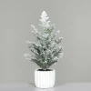 Tannenbaum