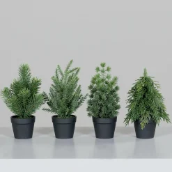 Tannenbaum