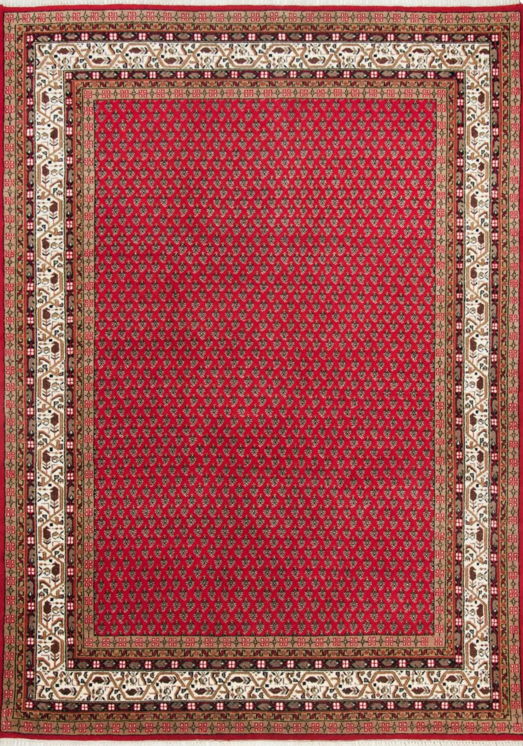Teppich PANIPAT