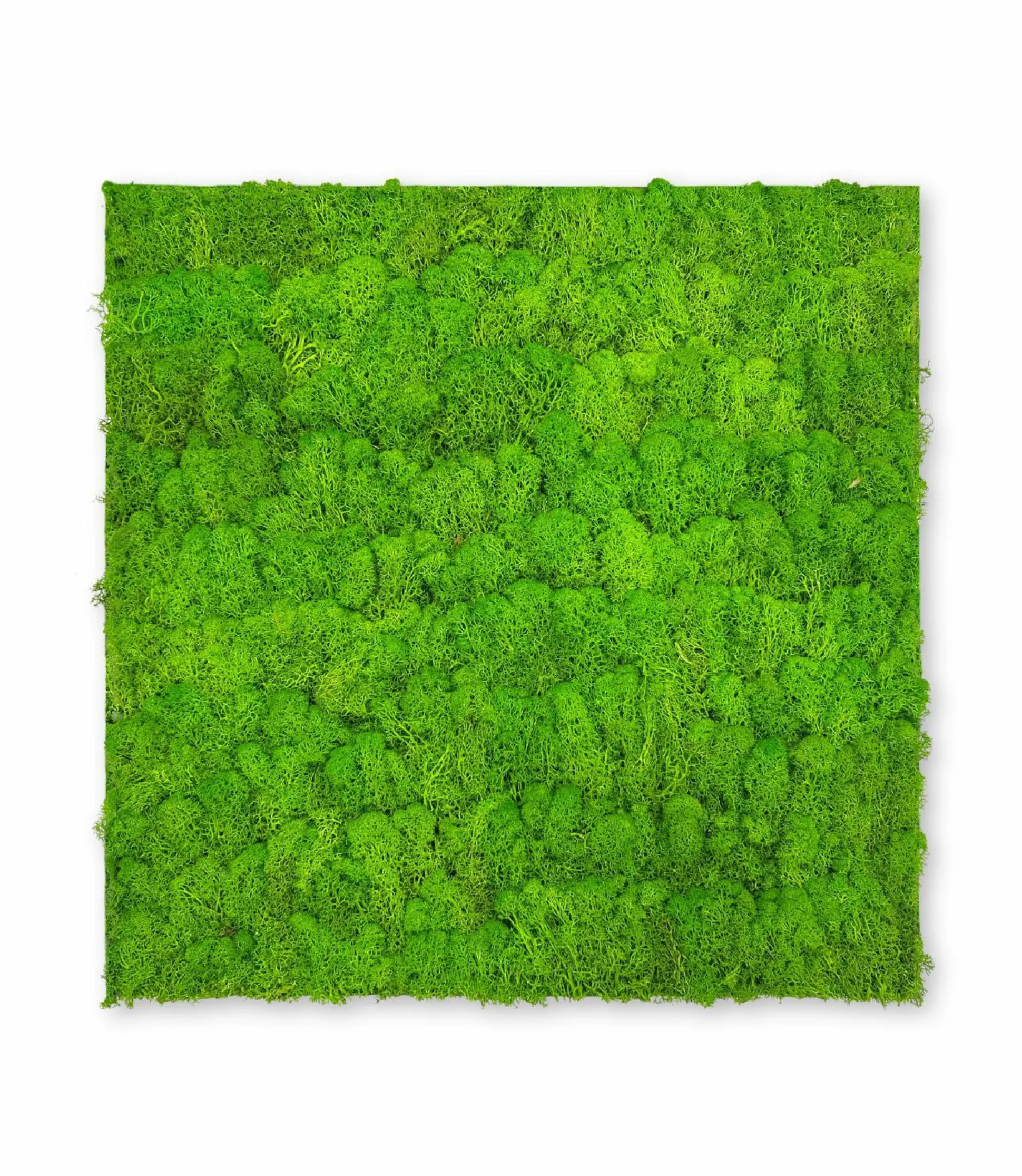 Wandpaneel MODULAR WALL