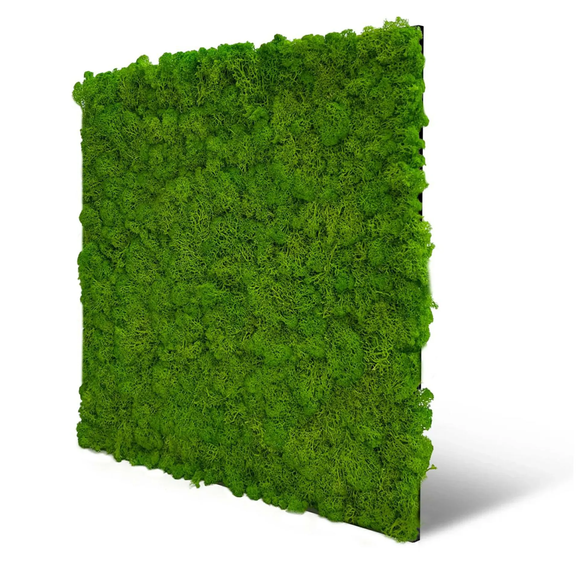 Wandpaneel MODULAR WALL