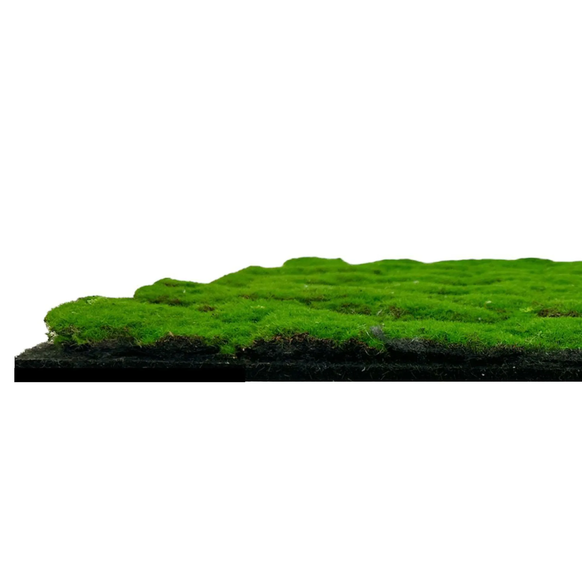 Wandpaneel MODULAR WALL