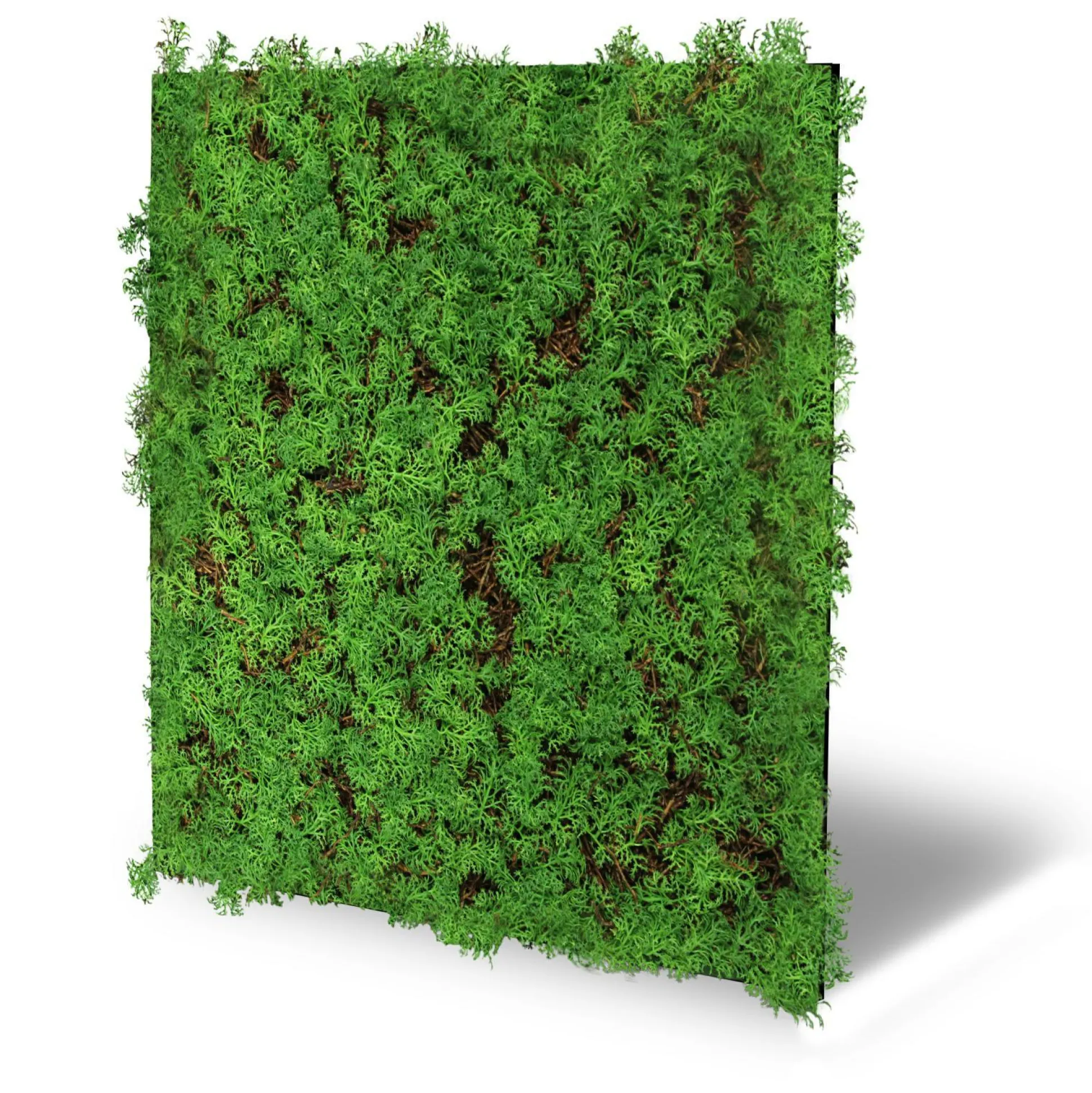 Wandpaneel MODULAR WALL